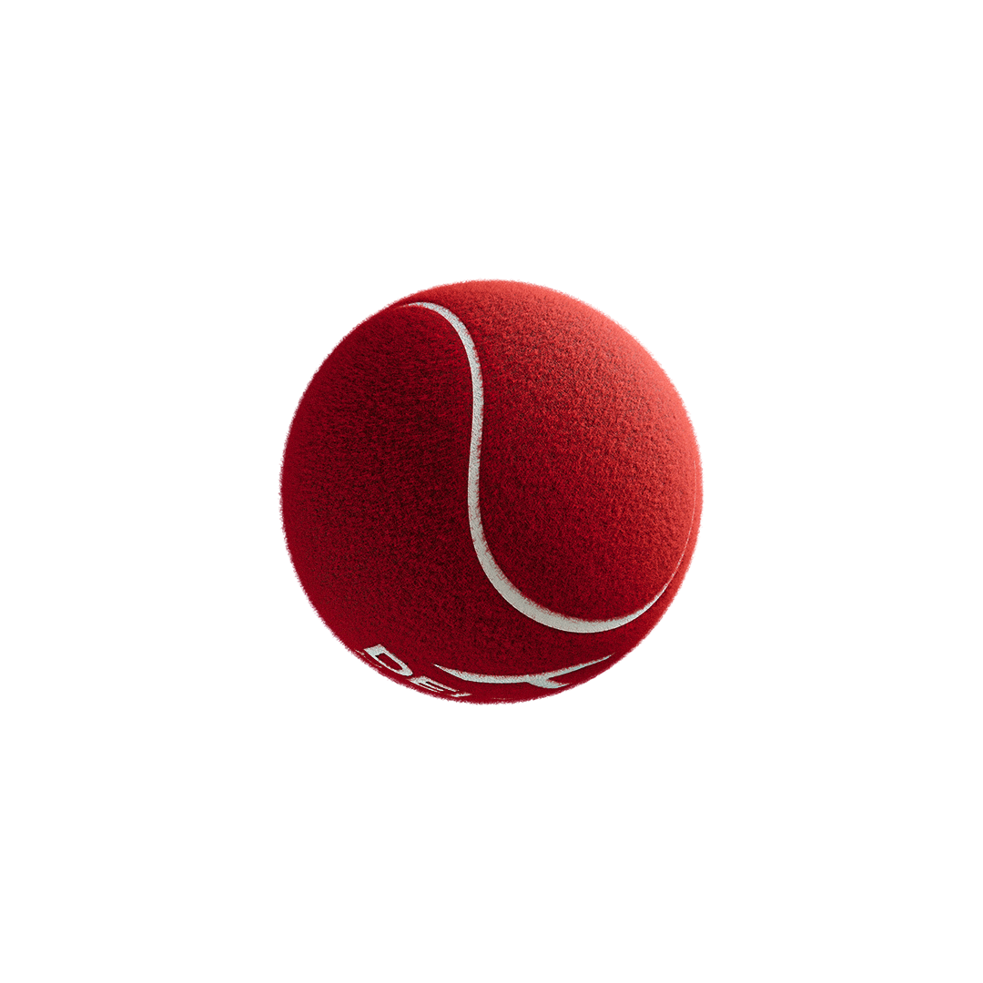 Single Delta 6 Heavy Cricket Tennis Balls (Pack of 6/Red)