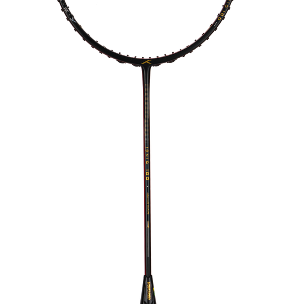 Ioniq 100 - 3U