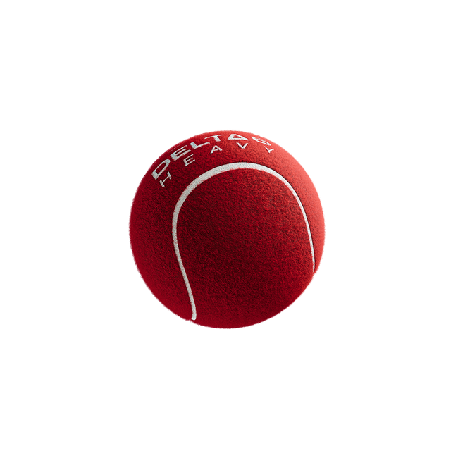 Single Delta 6 Heavy Cricket Tennis Balls (Pack of 6/Red)