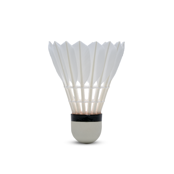 F5 Shuttlecock