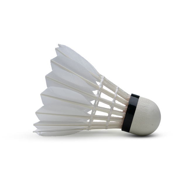 F5 Shuttlecock