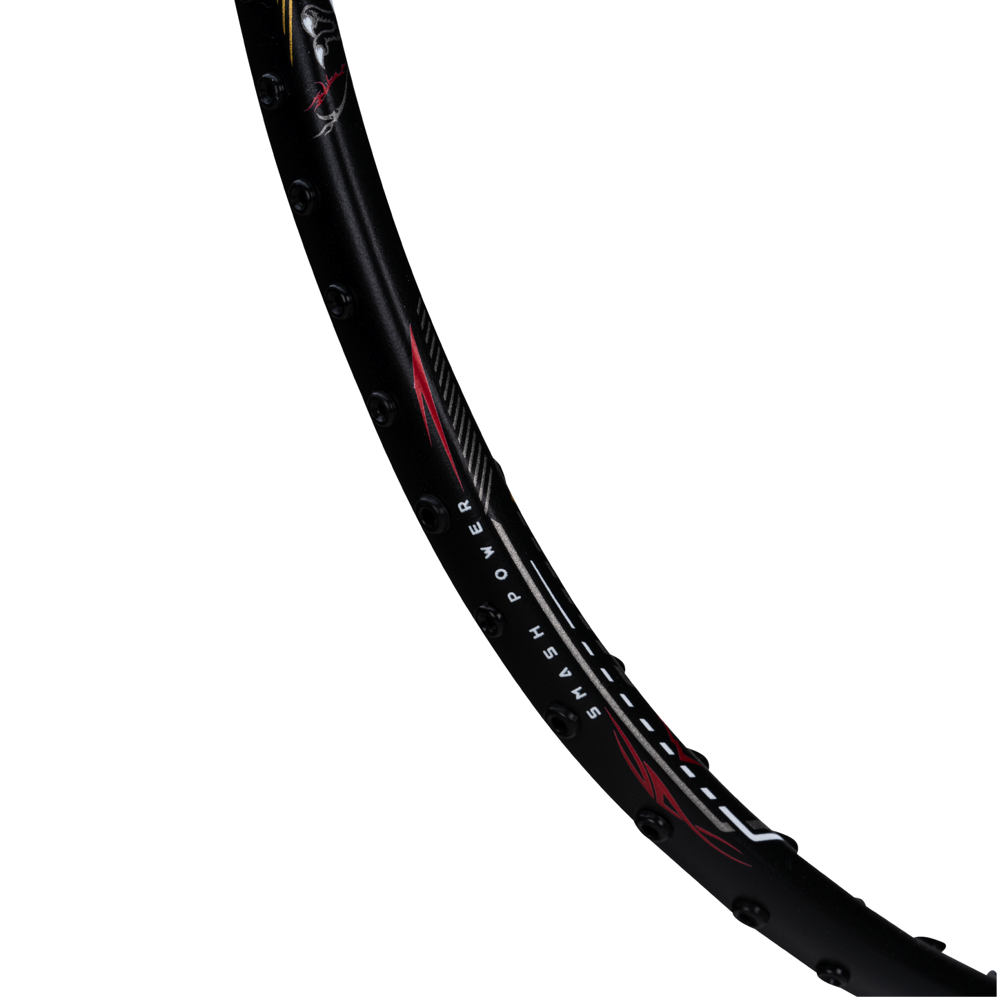 T-REX 800 - BLACK