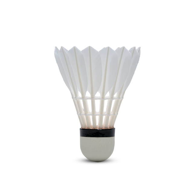 F8 Shuttlecock