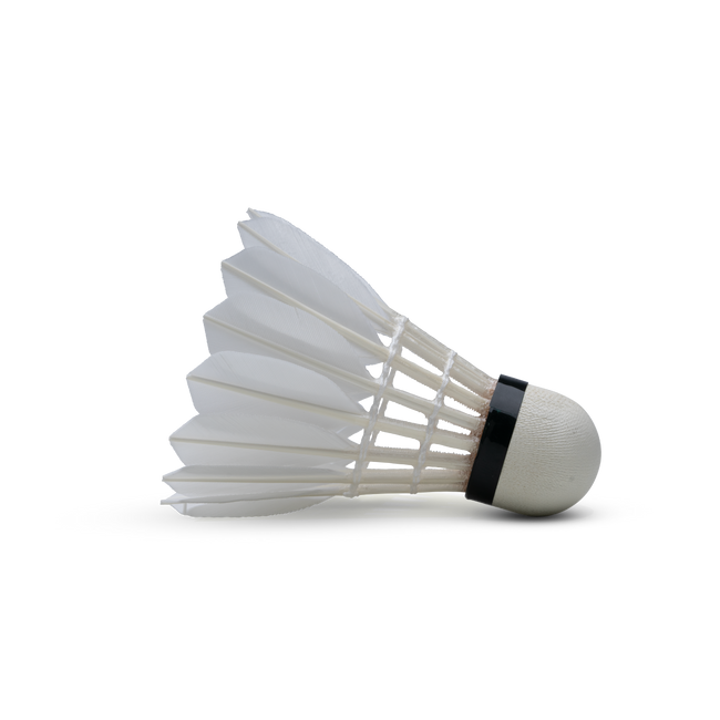 F1 Shuttlecock