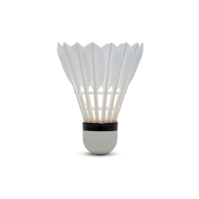 F1 Shuttlecock